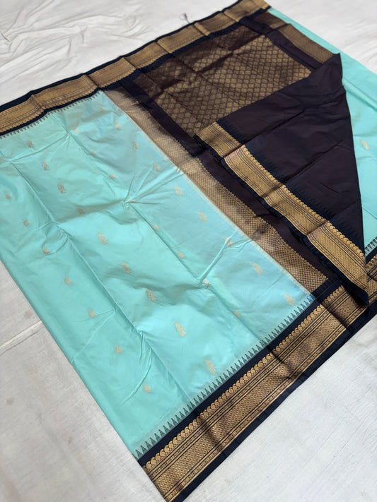 Semi gadwal small border